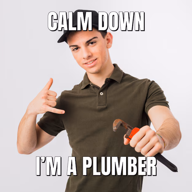 pearland plumber phone number